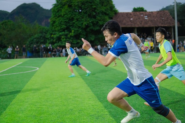 樊振东全运会表现引热议，退出世排新解读